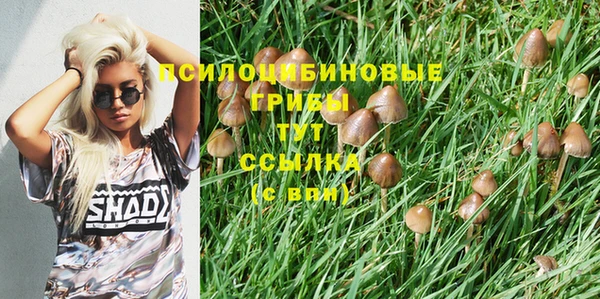 PSILOCYBIN Нефтекумск