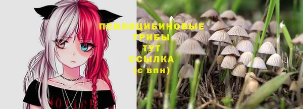 кристаллы Надым