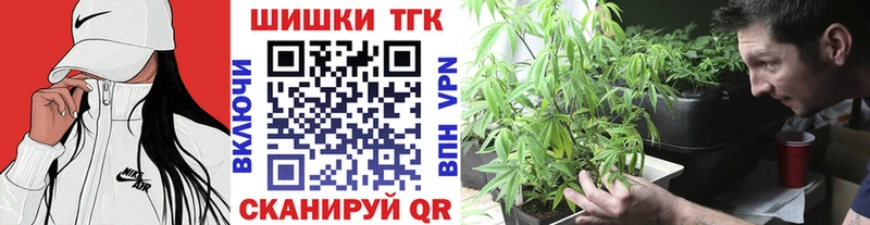 Купить где  Хадыженск  Конопля Amnesia 